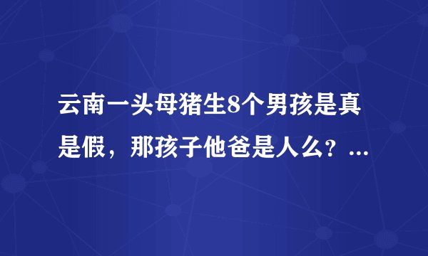 云南一头母猪生8个男孩是真是假，那孩子他爸是人么？还是谣传吗？