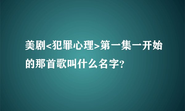 美剧<犯罪心理>第一集一开始的那首歌叫什么名字？