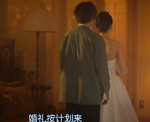 日剧我的丈夫在冰箱里沉睡结局