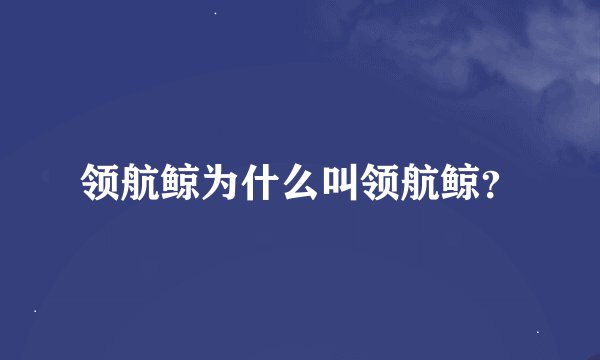 领航鲸为什么叫领航鲸？