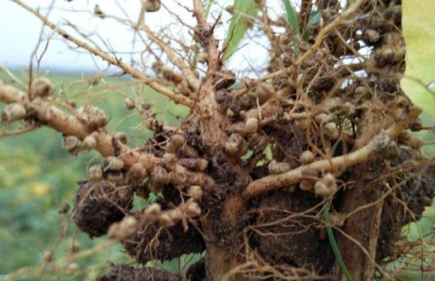 举几个成分残缺病句的例子!并说明怎么改!谢谢!