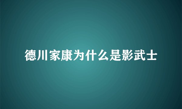 德川家康为什么是影武士