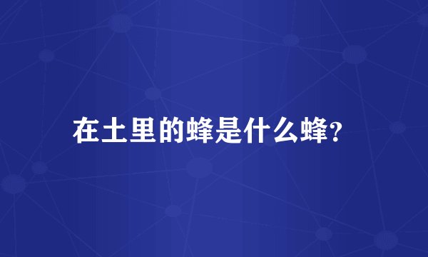 在土里的蜂是什么蜂？