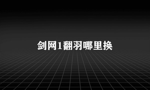 剑网1翻羽哪里换