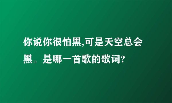 你说你很怕黑,可是天空总会黑。是哪一首歌的歌词?