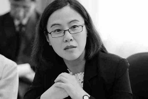 张丹红事件的舆论