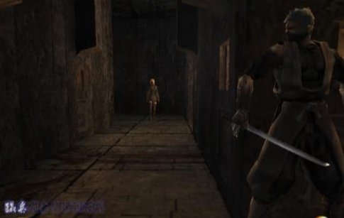 求PS2天诛3任务技能秘籍