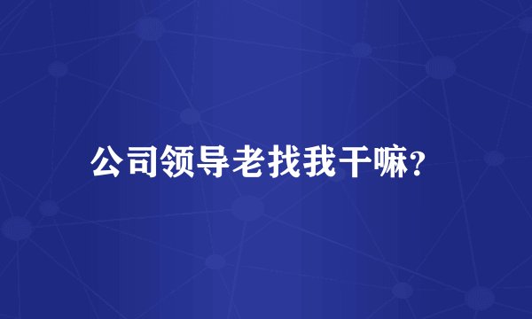 公司领导老找我干嘛？