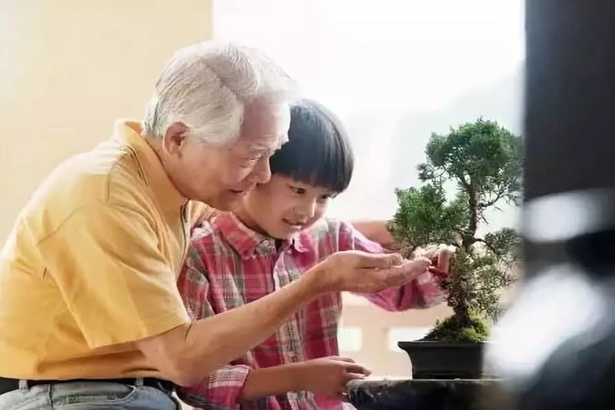 妈妈与外公的作文怎么写