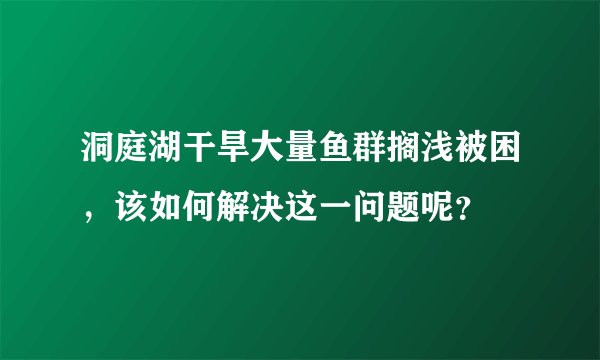 洞庭湖干旱大量鱼群搁浅被困，该如何解决这一问题呢？