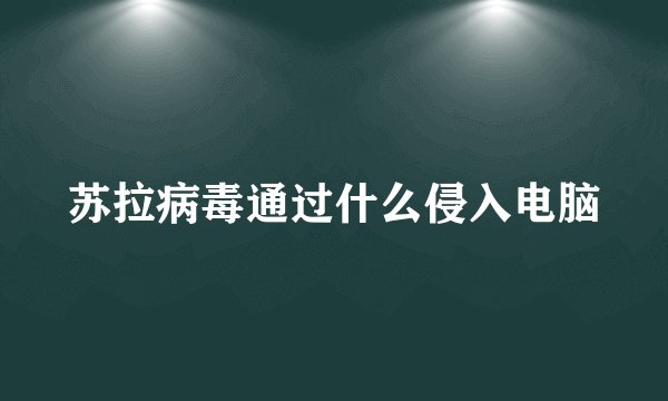 苏拉病毒通过什么侵入电脑