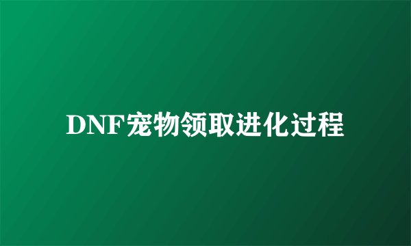 DNF宠物领取进化过程