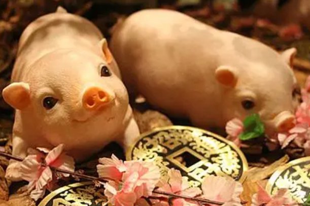 胆破心惊猜一动物