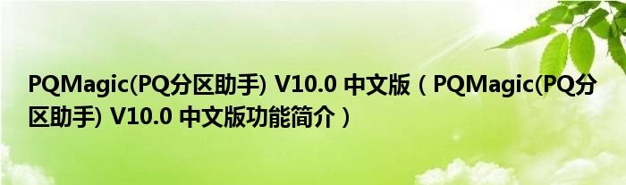 PQMagicPQ分区助手V100中文版PQMagicPQ分区助手V100中文版功能简介