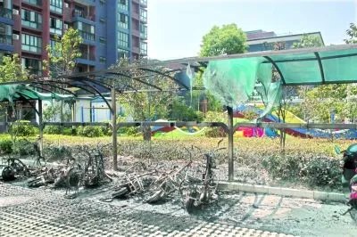 南京一小区车棚起火无人受伤，起火的原因有哪些？