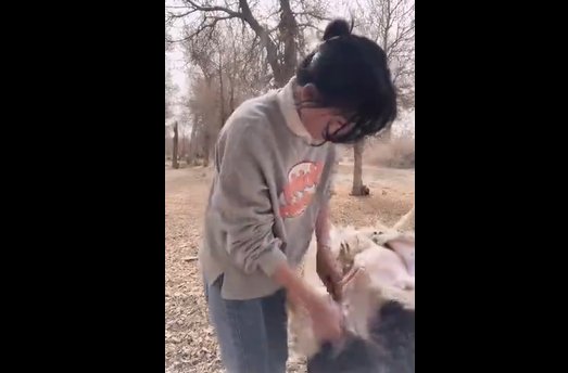 八分钟宰一只羊是什么梗？