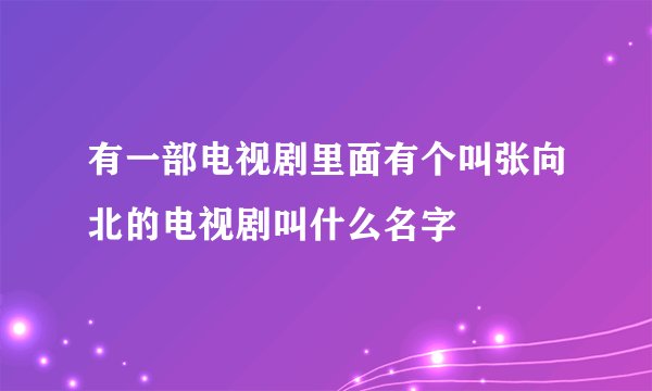 有一部电视剧里面有个叫张向北的电视剧叫什么名字