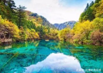 绵阳通报4天参团游未见九寨沟大门，涉事酒店最终得到了什么处罚？