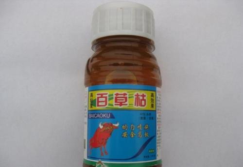 百草枯不得在境内销售,这是为什么?