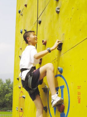 索虎网的免责声明