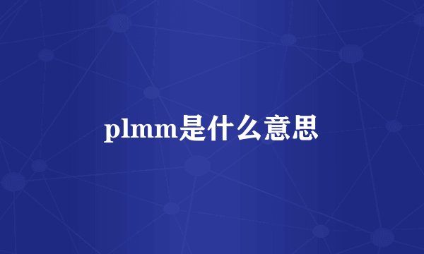 plmm是什么意思