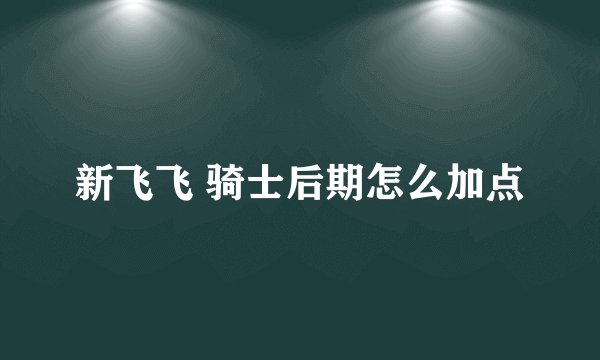 新飞飞 骑士后期怎么加点
