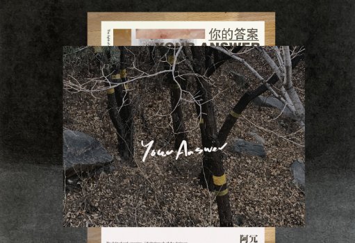 黎明的那道光，会越过黑暗，是谁的唱的歌名？抖音里听到的？