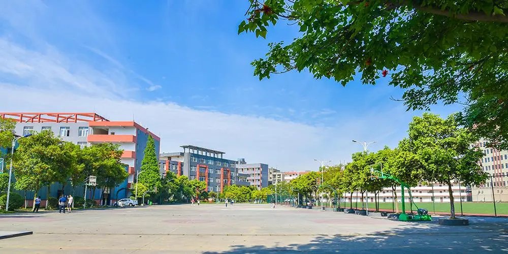 青岛大学专科分数线是多少