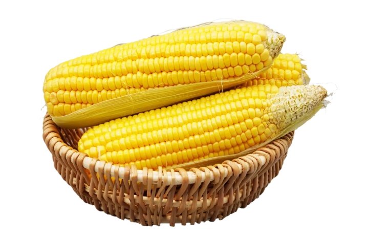 世界上玉米产量最多的是哪个国家？