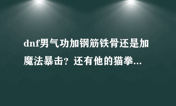 dnf男气功加钢筋铁骨还是加魔法暴击？还有他的猫拳是不是像红眼的双刀一样开了以后到刷完所有图都不消失