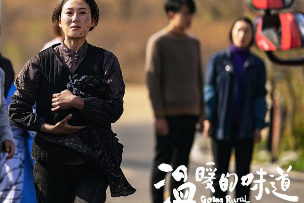 赵柯演过的所有电视剧