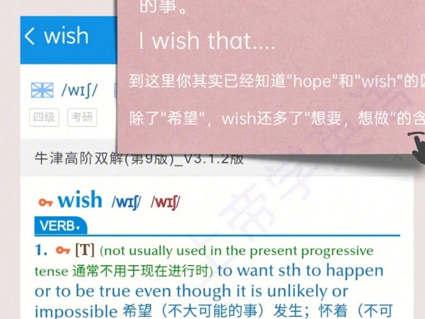 hope to do和hoped to do有什么区别吗？