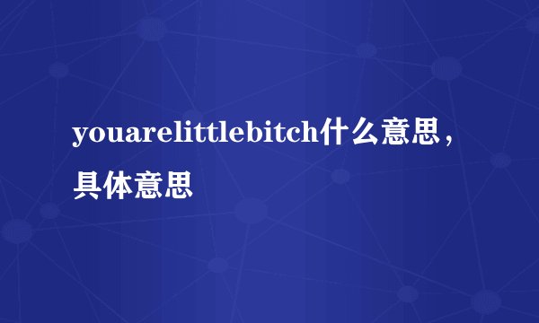 youarelittlebitch什么意思，具体意思
