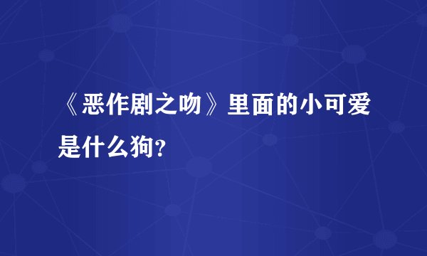 《恶作剧之吻》里面的小可爱是什么狗？