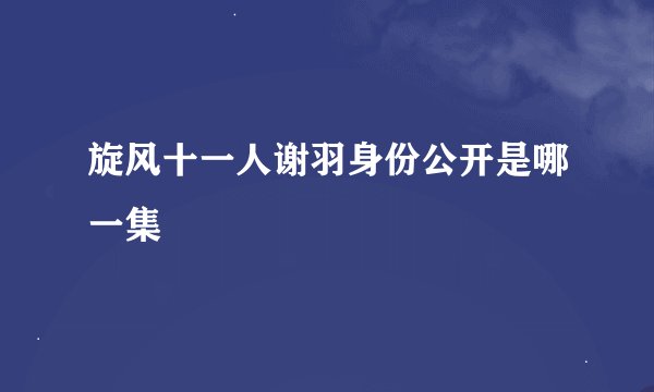 旋风十一人谢羽身份公开是哪一集