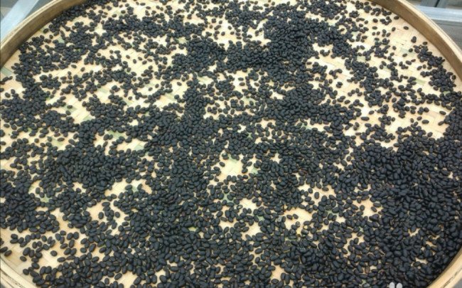 槐树连豆怎么做好吃？