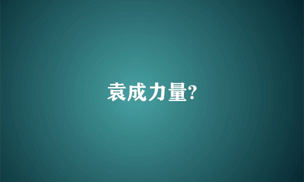 袁成力量?