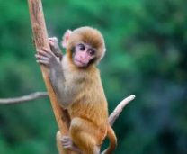 ，脑筋急转弯。十三里路走四回