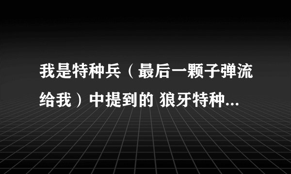 我是特种兵（最后一颗子弹流给我）中提到的 狼牙特种大队真的存在吗？