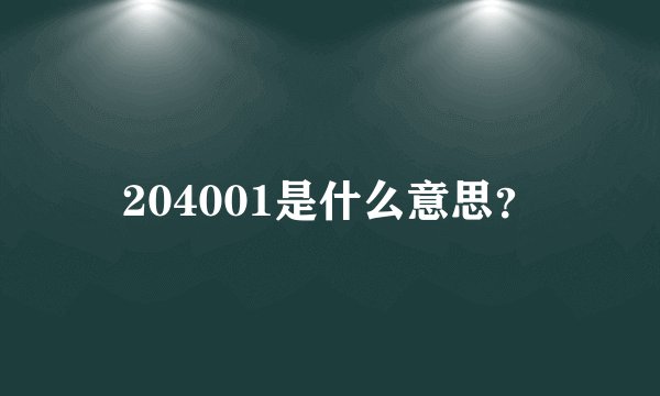 204001是什么意思?