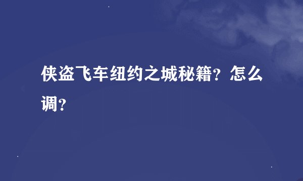 侠盗飞车纽约之城秘籍？怎么调？