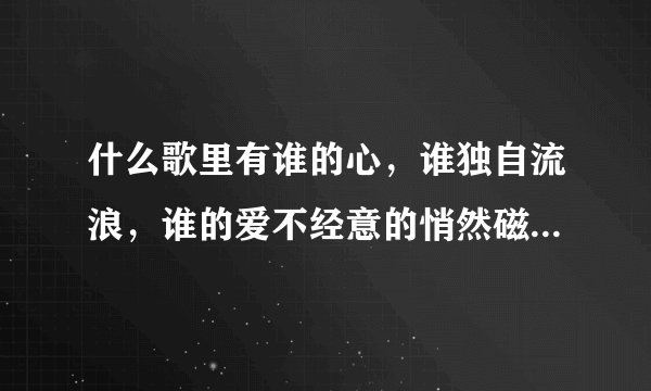 什么歌里有谁的心，谁独自流浪，谁的爱不经意的悄然磁场，我只能往前飞，飞过千山万水？