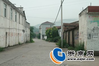 董宋萍的人物简介