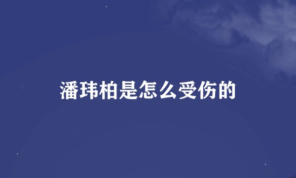 潘玮柏是怎么受伤的