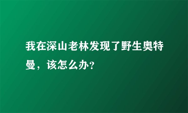 我在深山老林发现了野生奥特曼，该怎么办？