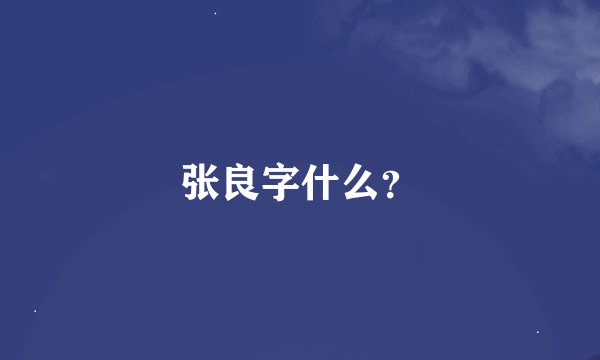 张良字什么？