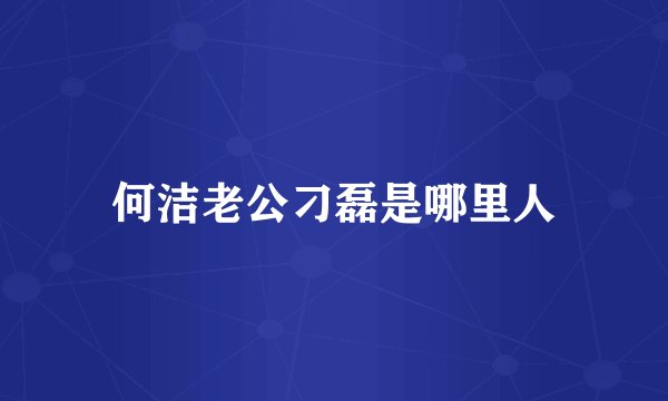 何洁老公刁磊是哪里人