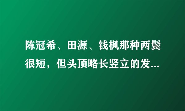 陈冠希、田源、钱枫那种两鬓很短,但头顶略长竖立的发型叫什么啊?我知道那图片去理发店,可是见问题补充