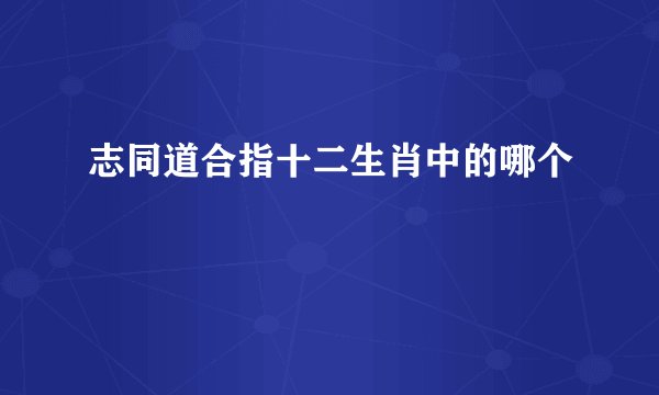 志同道合指十二生肖中的哪个