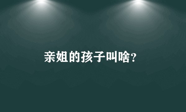 亲姐的孩子叫啥？
